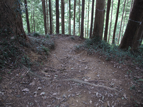 20161007hike (174)